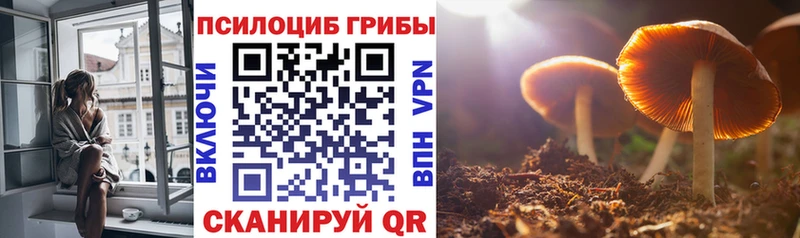 Псилоцибиновые грибы Psilocybine cubensis  Купить  Отрадный 