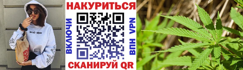 МАРИХУАНА OG Kush Отрадный